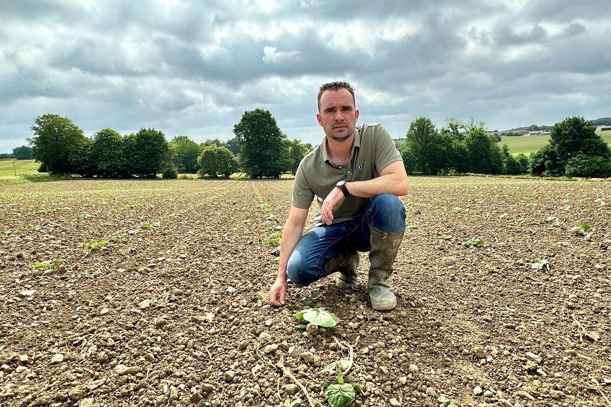 Un homme accroupi au milieu d'une parcelle de courges tout juste plantées - Illustration En prendre de la graine
