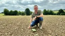 Un homme accroupi au milieu d'une parcelle de courges tout juste plantées