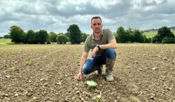 Un homme accroupi au milieu d'une parcelle de courges tout juste plantées