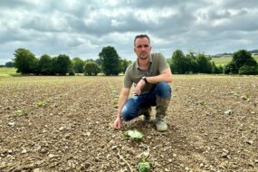 Un homme accroupi au milieu d'une parcelle de courges tout juste plantées
