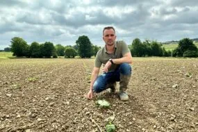 Un homme accroupi au milieu d'une parcelle de courges tout juste plantées