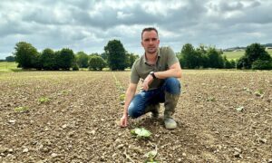 Un homme accroupi au milieu d'une parcelle de courges tout juste plantées