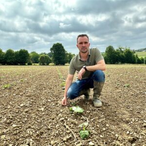 Un homme accroupi au milieu d'une parcelle de courges tout juste plantées
