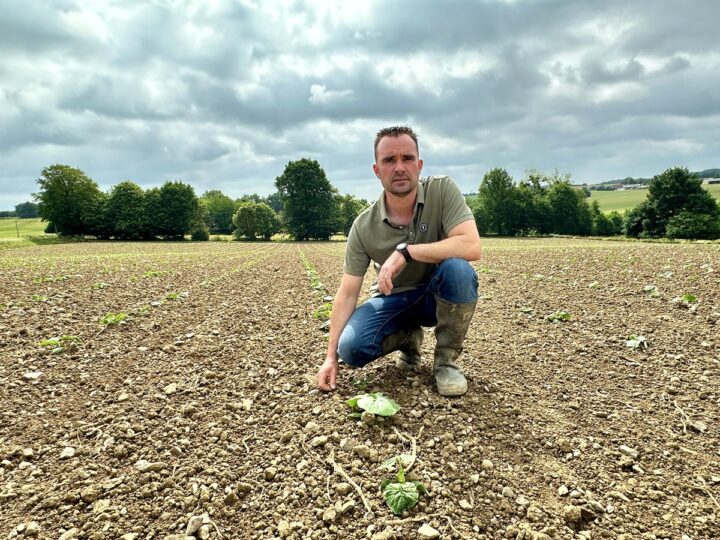 Un homme accroupi au milieu d'une parcelle de courges tout juste plantées