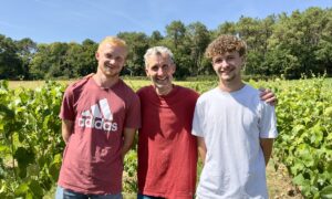 Olivier Costard et ses fils dans son vignoble