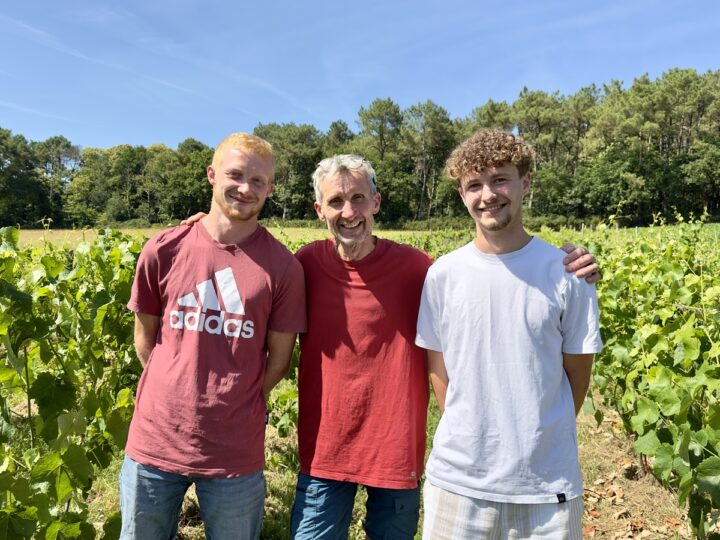 Olivier Costard et ses fils dans son vignoble