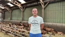 Nicolas Denoual dans sa chèvrerie