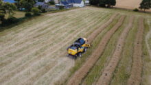 vue drone d'une récolte de colza en andains