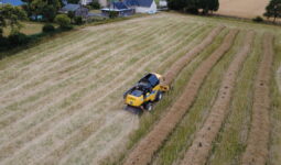 vue drone d'une récolte de colza en andains