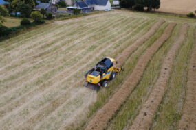 vue drone d'une récolte de colza en andains