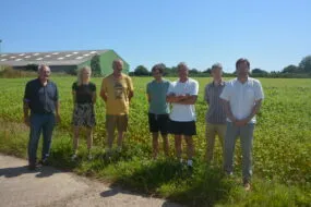 Un groupe de personnes devant un champ de sarrasin