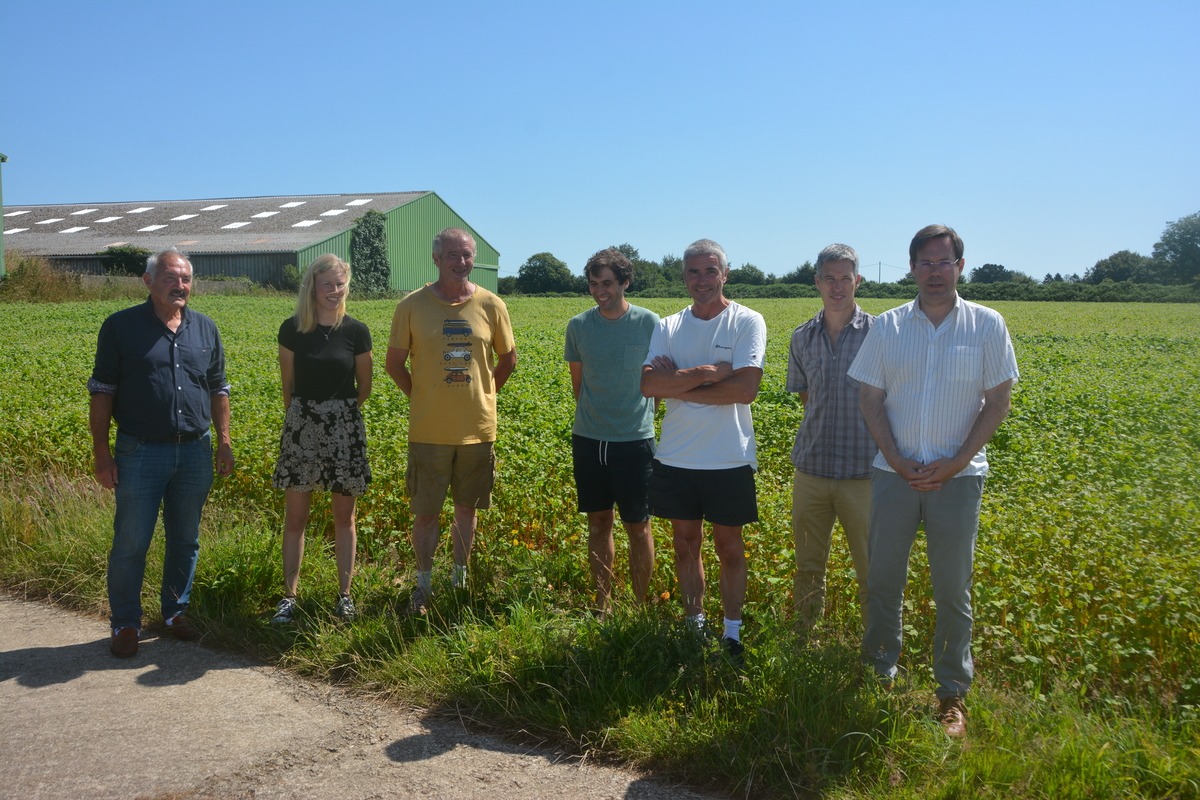 Un groupe de personnes devant un champ de sarrasin - Illustration Des efforts, mais pas d’aide