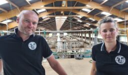 Deux personnes dans un bâtiment vaches laitères