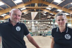 Deux personnes dans un bâtiment vaches laitères