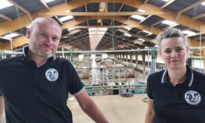 Deux personnes dans un bâtiment vaches laitères