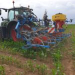 Un tracteur au champ lors d'une opération de désherbage de maïs
