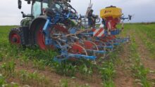 Un tracteur au champ lors d'une opération de désherbage de maïs