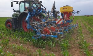 Un tracteur au champ lors d'une opération de désherbage de maïs
