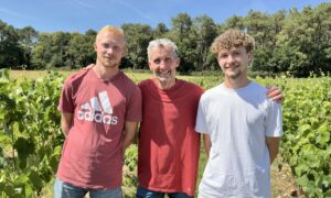 Trois personnes dans un champ de vignes