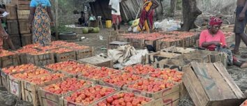 Caisses de tomate à Madagascar