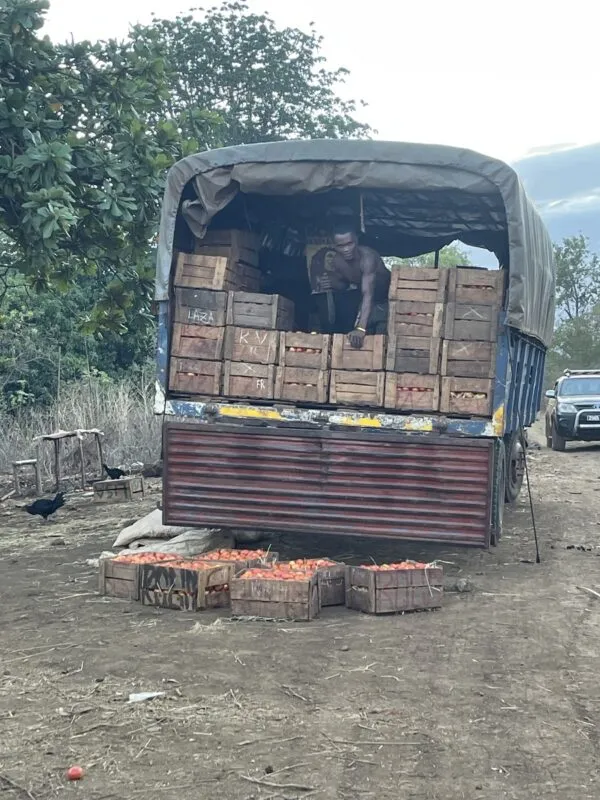Transport de marchandise en camion.