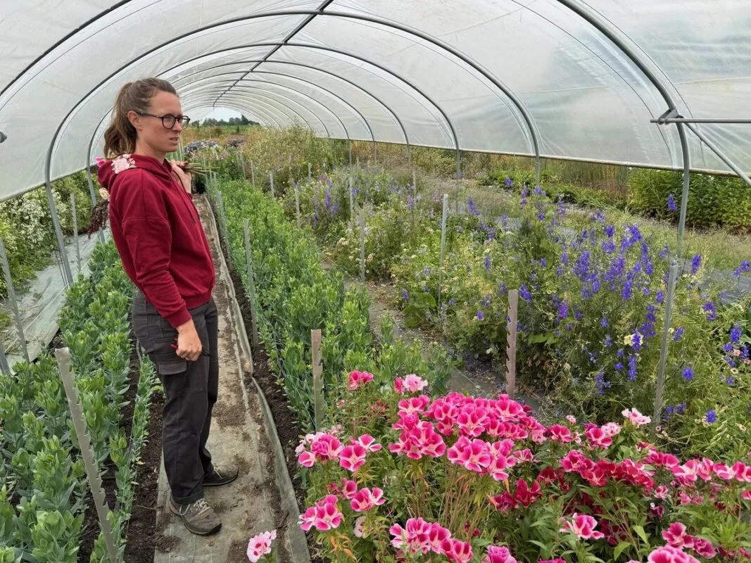 Une femme sous un abri de culture de fleurs