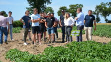 Groupe dans un champ de pommes de terre