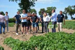 Groupe dans un champ de pommes de terre