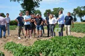 Groupe dans un champ de pommes de terre