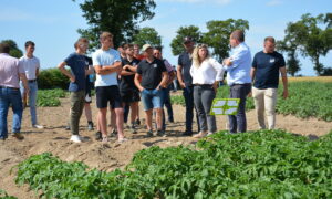 Groupe dans un champ de pommes de terre