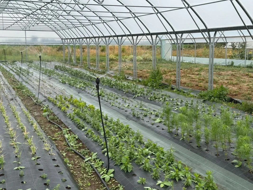 Le nouveau bi-tunnel