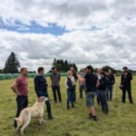 Un groupe de personne dans un champ avec un chien de protection