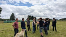 Un groupe de personne dans un champ avec un chien de protection