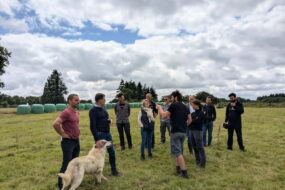 Un groupe de personne dans un champ avec un chien de protection