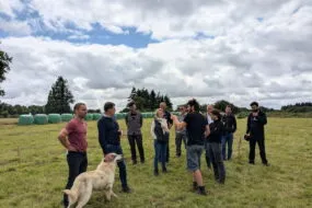Un groupe de personne dans un champ avec un chien de protection