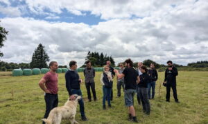 Un groupe de personne dans un champ avec un chien de protection