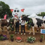 Une vache de race Normande et une vache de race Holstein et leurs présentateurs sur le podium du concours d'un comice agricole