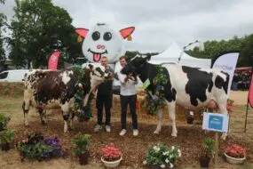 Une vache de race Normande et une vache de race Holstein et leurs présentateurs sur le podium du concours d'un comice agricole