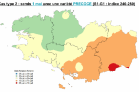 Carte de la Bretagne avec un code couleur pour les périodes de floraison du maïs