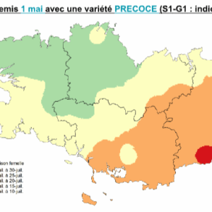Carte de la Bretagne avec un code couleur pour les périodes de floraison du maïs