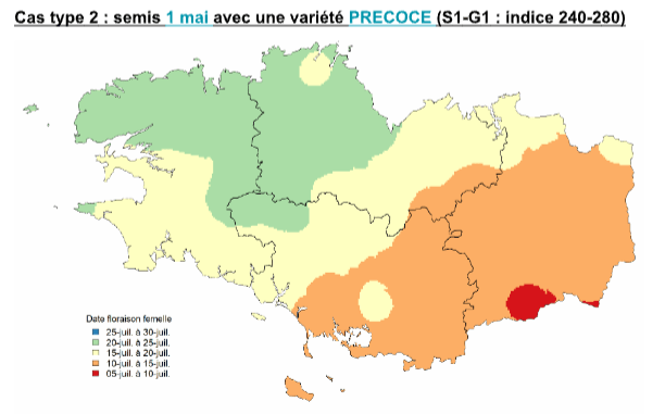 Carte de la Bretagne avec un code couleur pour les périodes de floraison du maïs - Illustration Dater la floraison avec précision