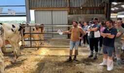 Un éleveur présente des vaches Holstein au cornadis à une assemblée de visiteurs dans un bâtiment d'élevage.