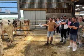 Un éleveur présente des vaches Holstein au cornadis à une assemblée de visiteurs dans un bâtiment d'élevage.