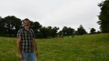 éleveur devant ses prairies