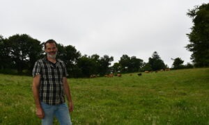 éleveur devant ses prairies