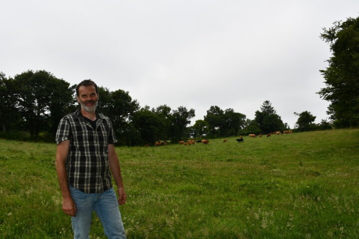 éleveur devant ses prairies