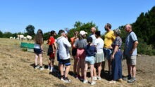 éleveurs et enfants sur une parcelle