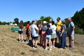 éleveurs et enfants sur une parcelle