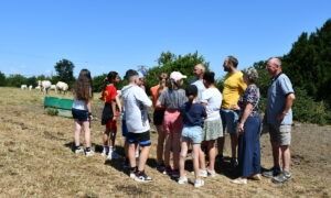 éleveurs et enfants sur une parcelle