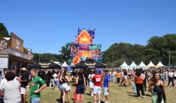 Foule aux Vieilles Charrues